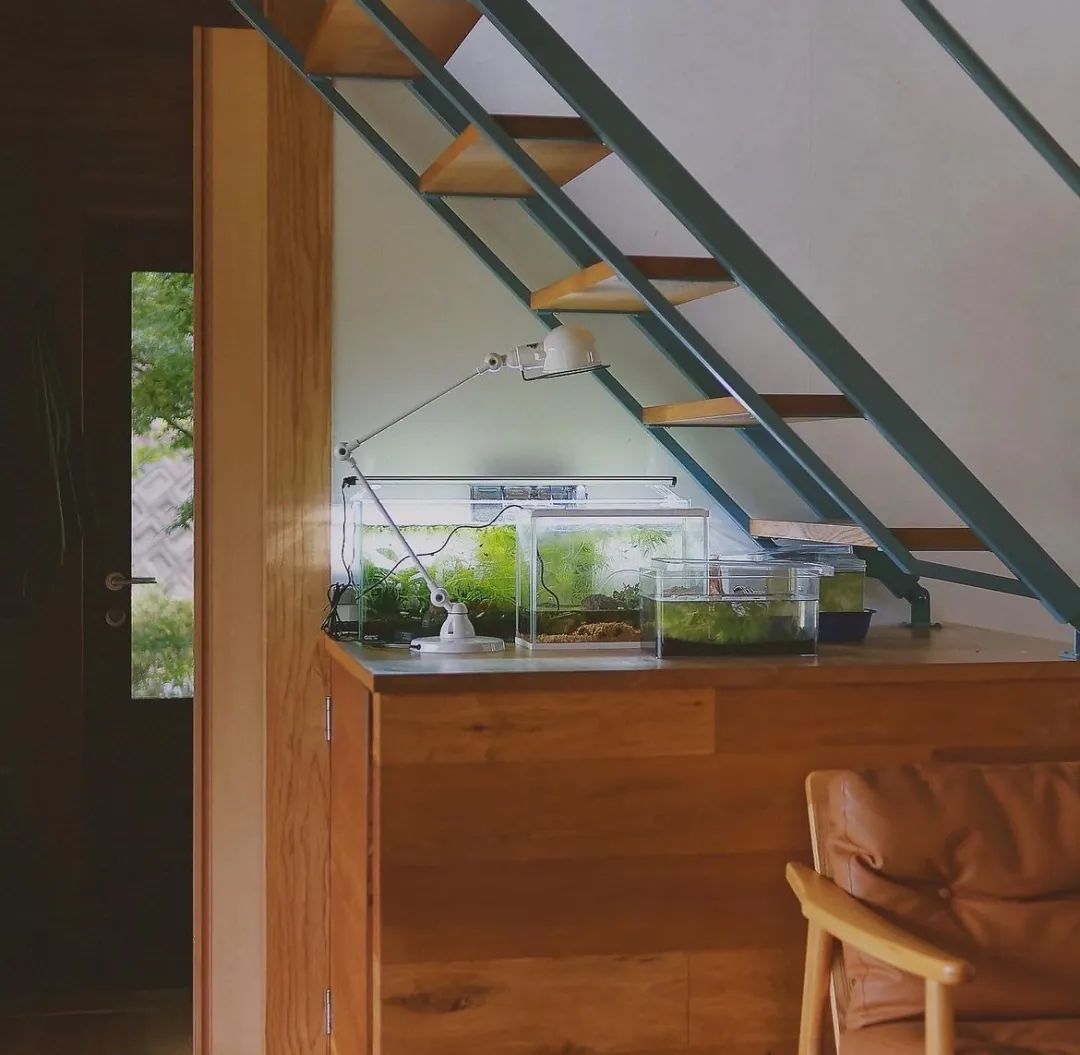 三胎家庭住进深山10年，人均6㎡卧室，却坐拥整片山林-91