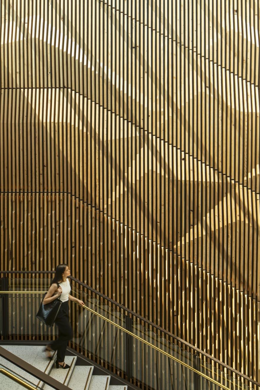 新楼建设替代方案(这里假设Replacement在语境中有替代方案的意思,如果Replacement理解为替换,也可翻译为新楼建设替换 ,但需结合具体语境确定最准确意思) 丨美国丨Miller Hull Partnership-37