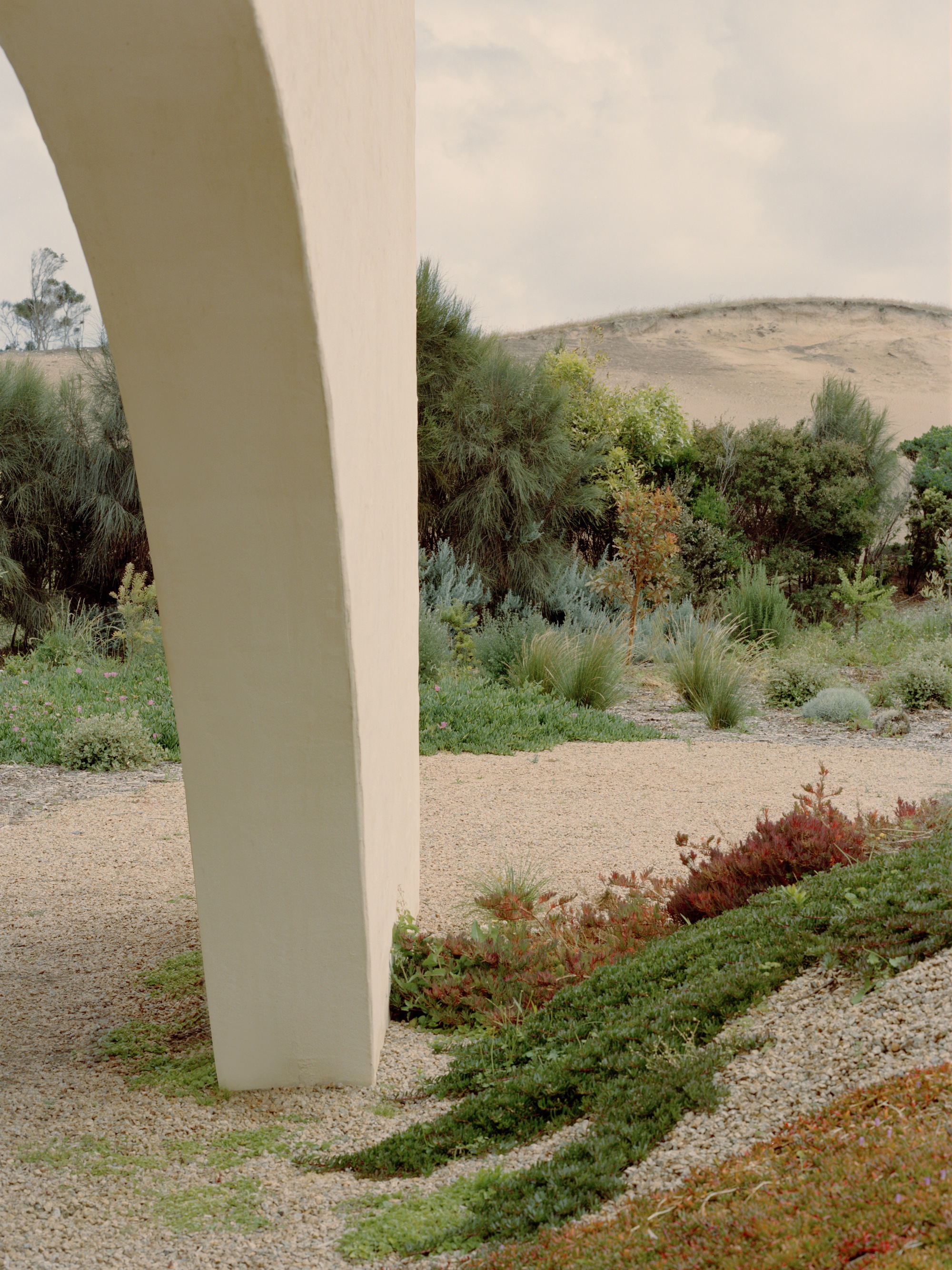 野岸别墅(注:House常见可译为房子、住宅、别墅等,这里结合Wildcoast意译为野岸别墅,若有特定背景可根据实际情况调整) 丨澳大利亚丨Pandolfini Architects-11