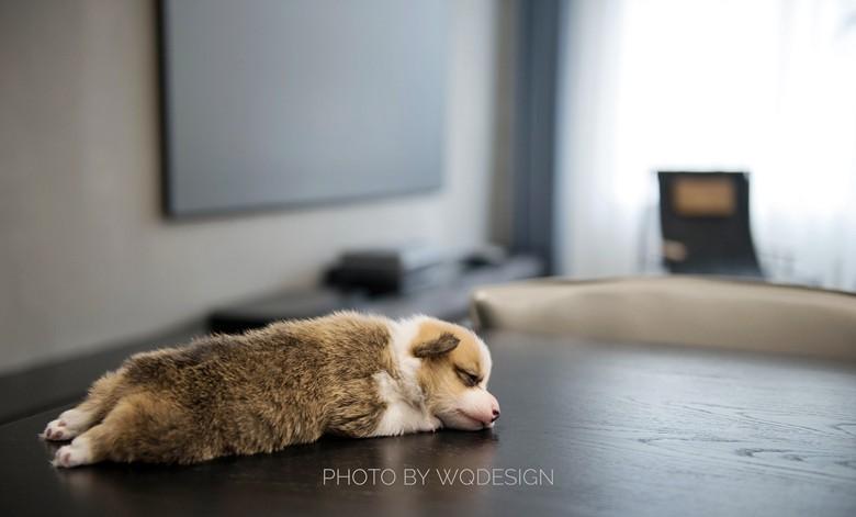 史先生情话 · 现代简约舒适家居设计-36