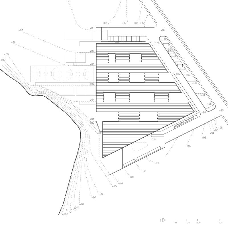 生物气候学派——伊斯顿·康姆斯-17