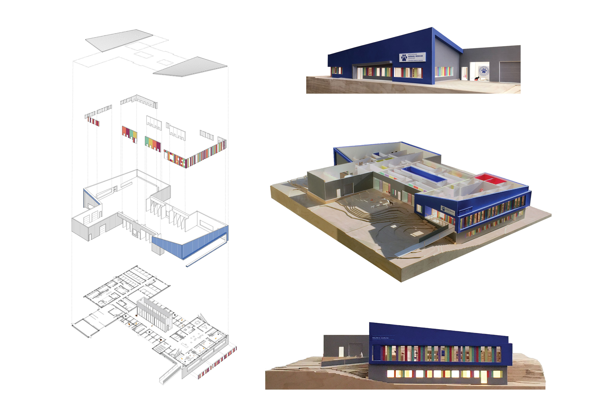 密歇根动物救援联盟丨美国丨PLY+-28
