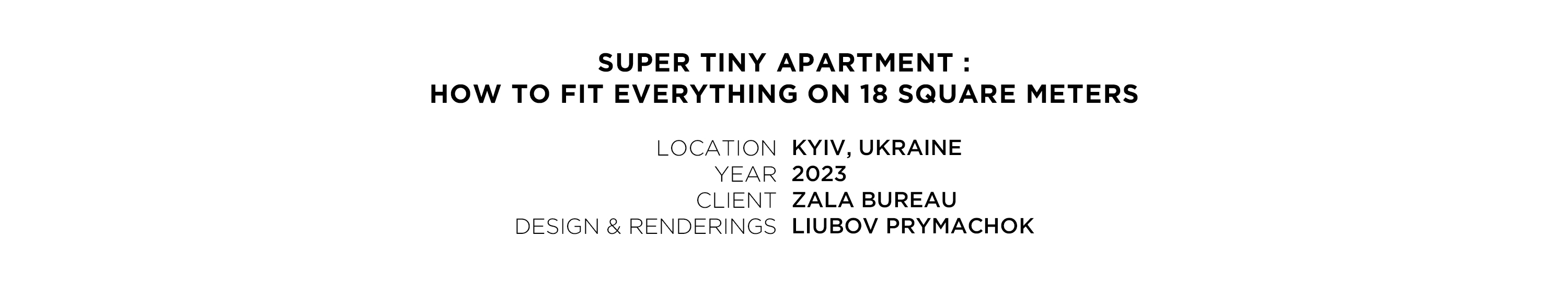 Super Tiny Apartment Design-0