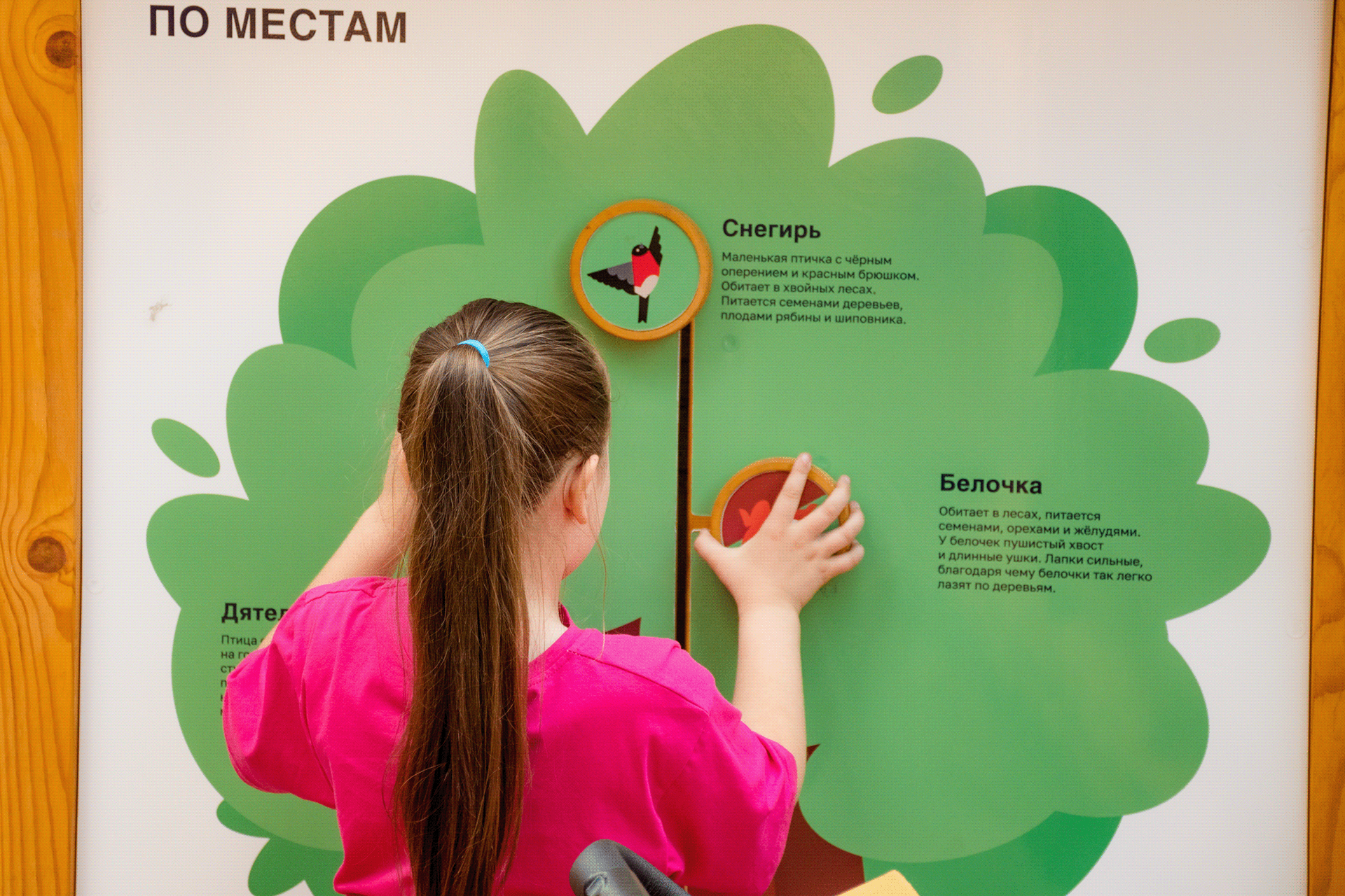 蒂希诺公园丨俄罗斯伊热夫斯克丨ARCH_IZNANKA-20