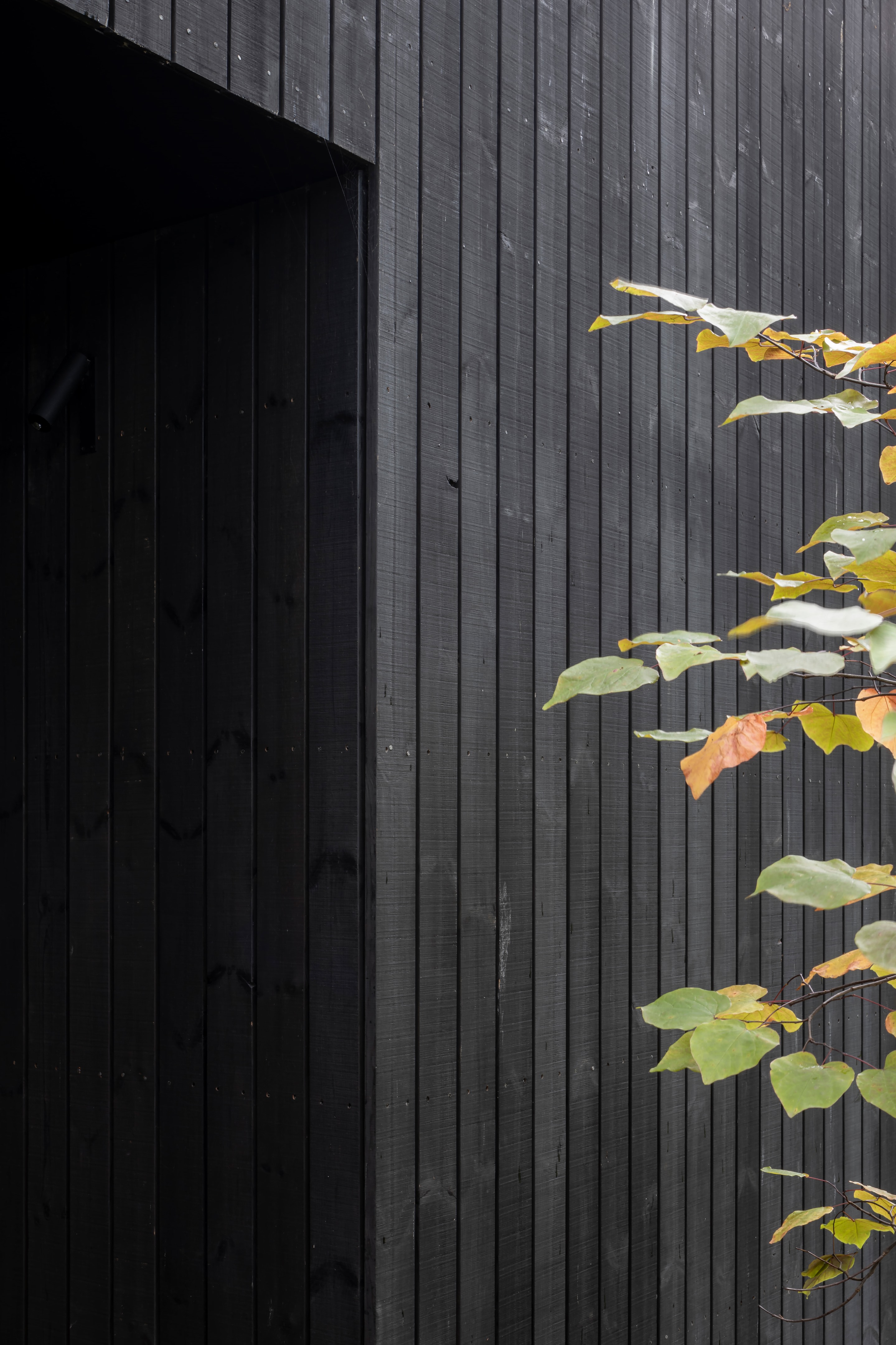 黑谷仓工作室丨荷兰丨Studio REDD,studio] [space architen-20