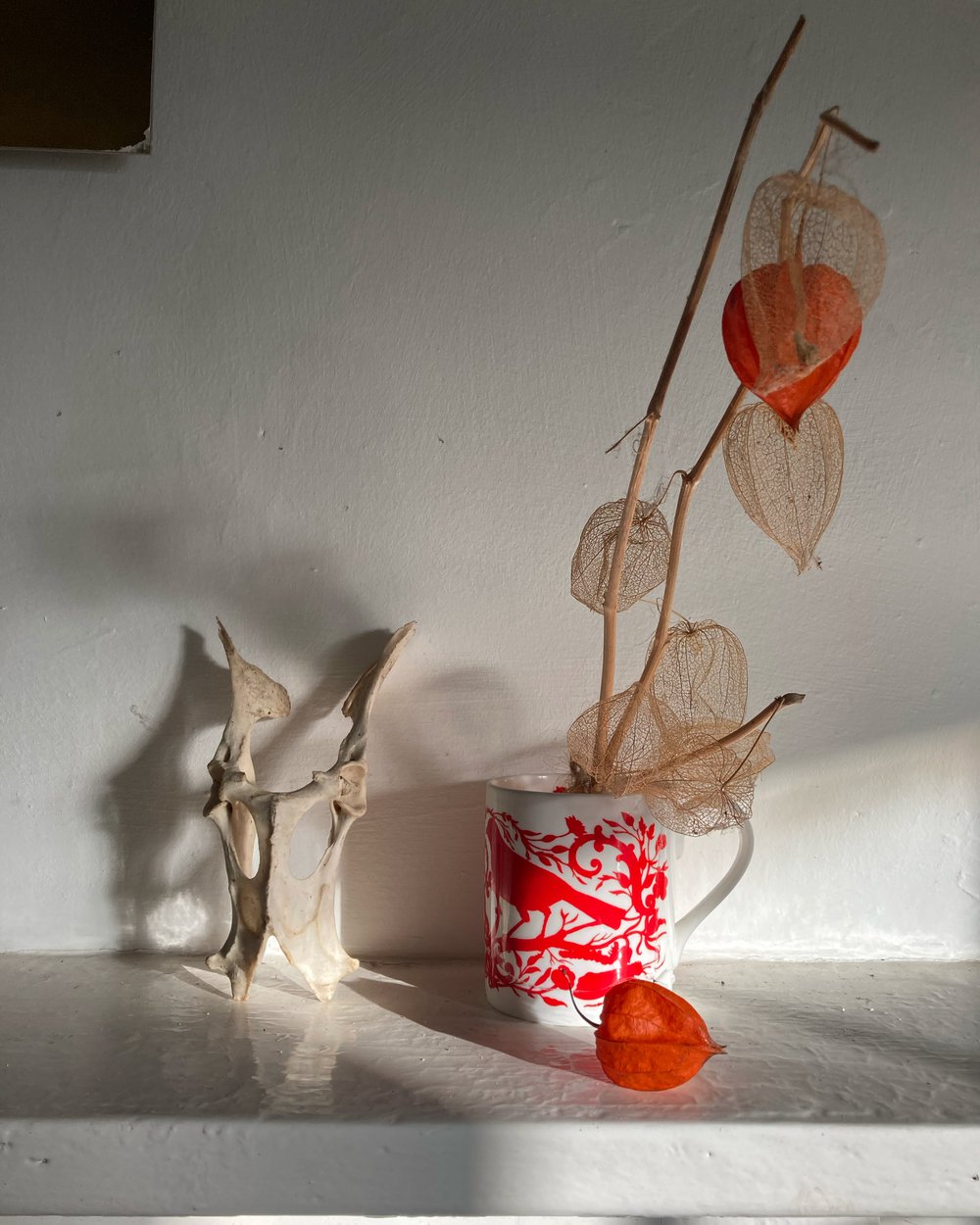 Norfolk的二级保护荷兰山墙房屋丨英国丨Lynch Architects-35