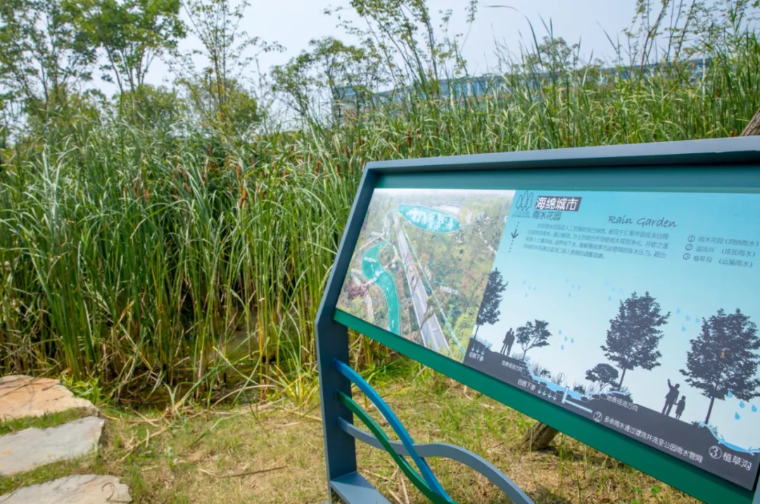 常州三江口公园-22