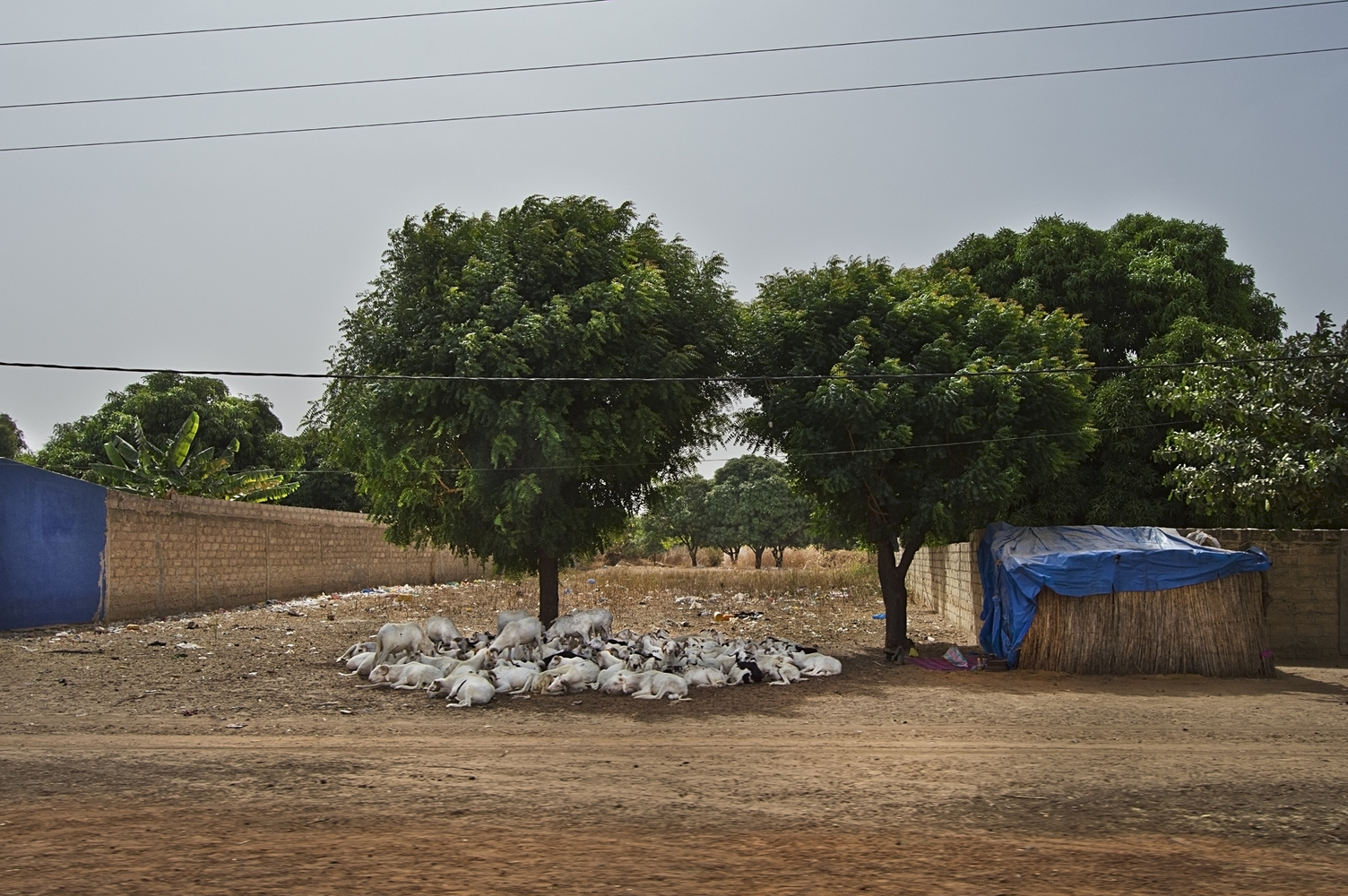Lecture Building at the Alioune Diop University  IDOM-68