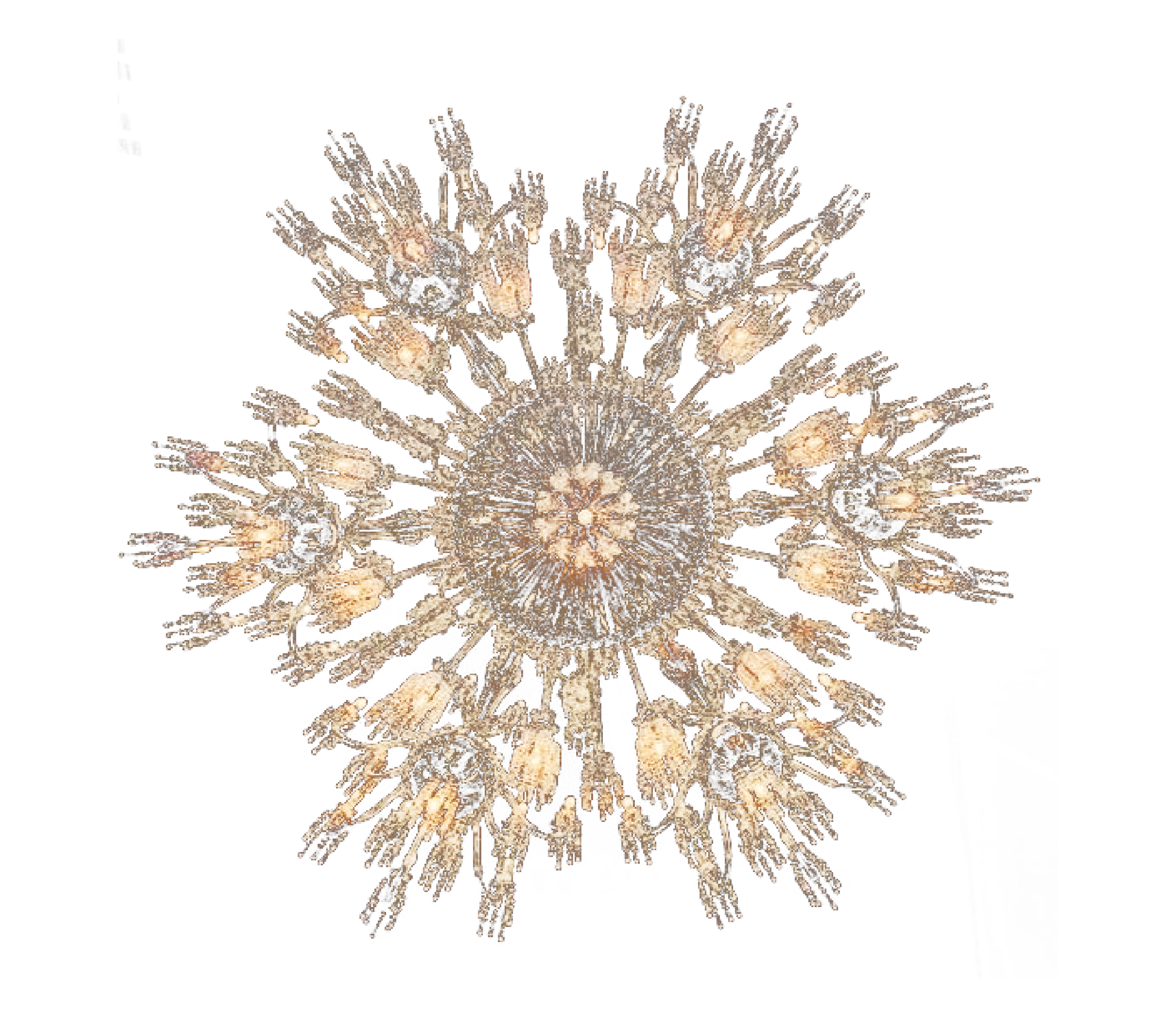 上海·弘安里丨中国上海丨深圳市布鲁盟室内设计有限公司（Bluemoon）-56