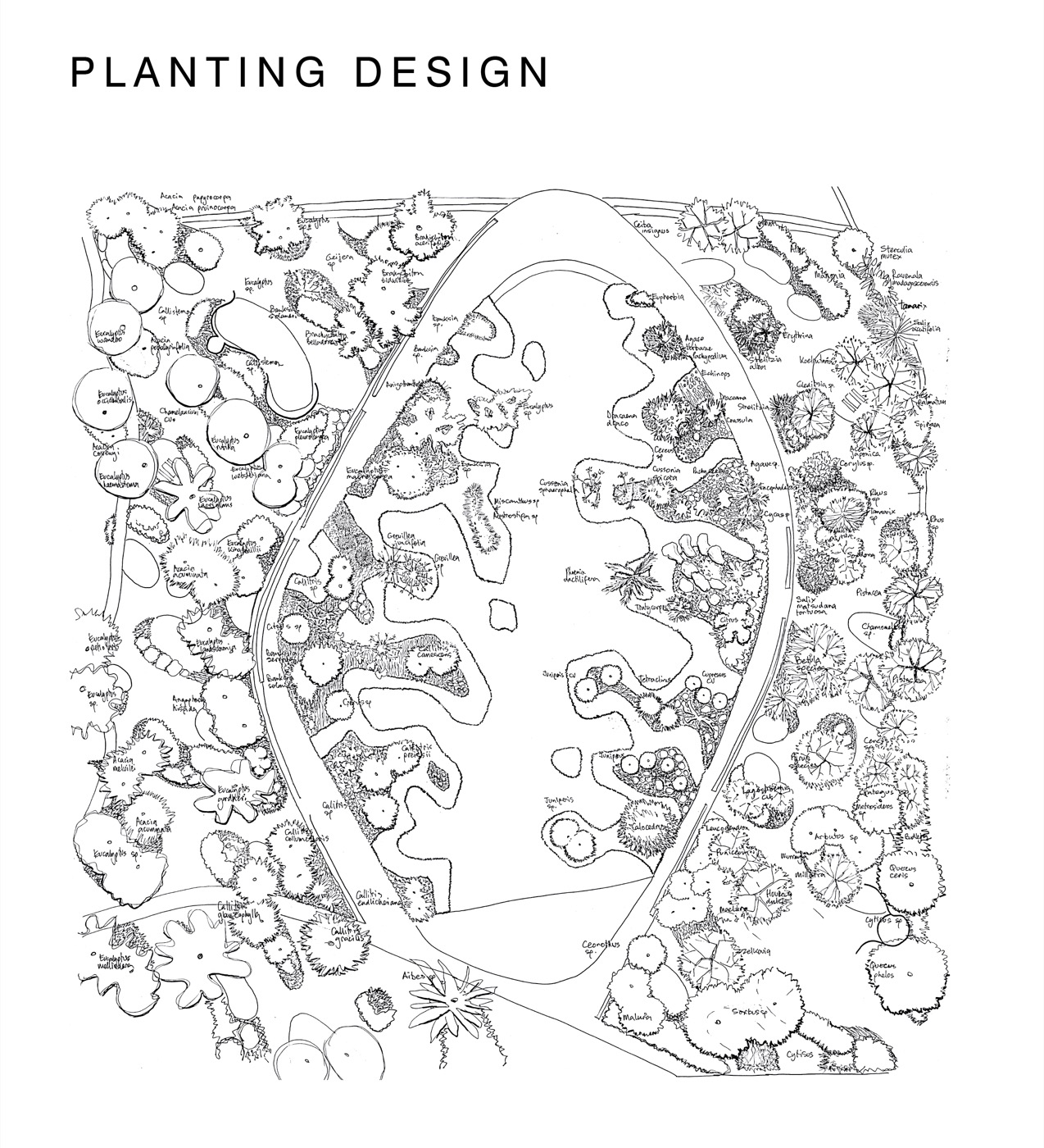 未来花园丨澳大利亚丨泰勒·卡利尔景观设计事务所-6