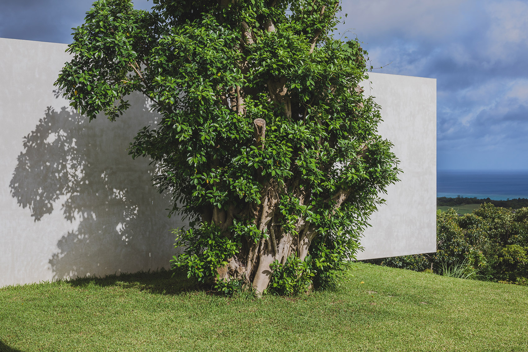 今归仁住宅丨日本冲绳丨STUDIO COCHI ARCHITECTS-72