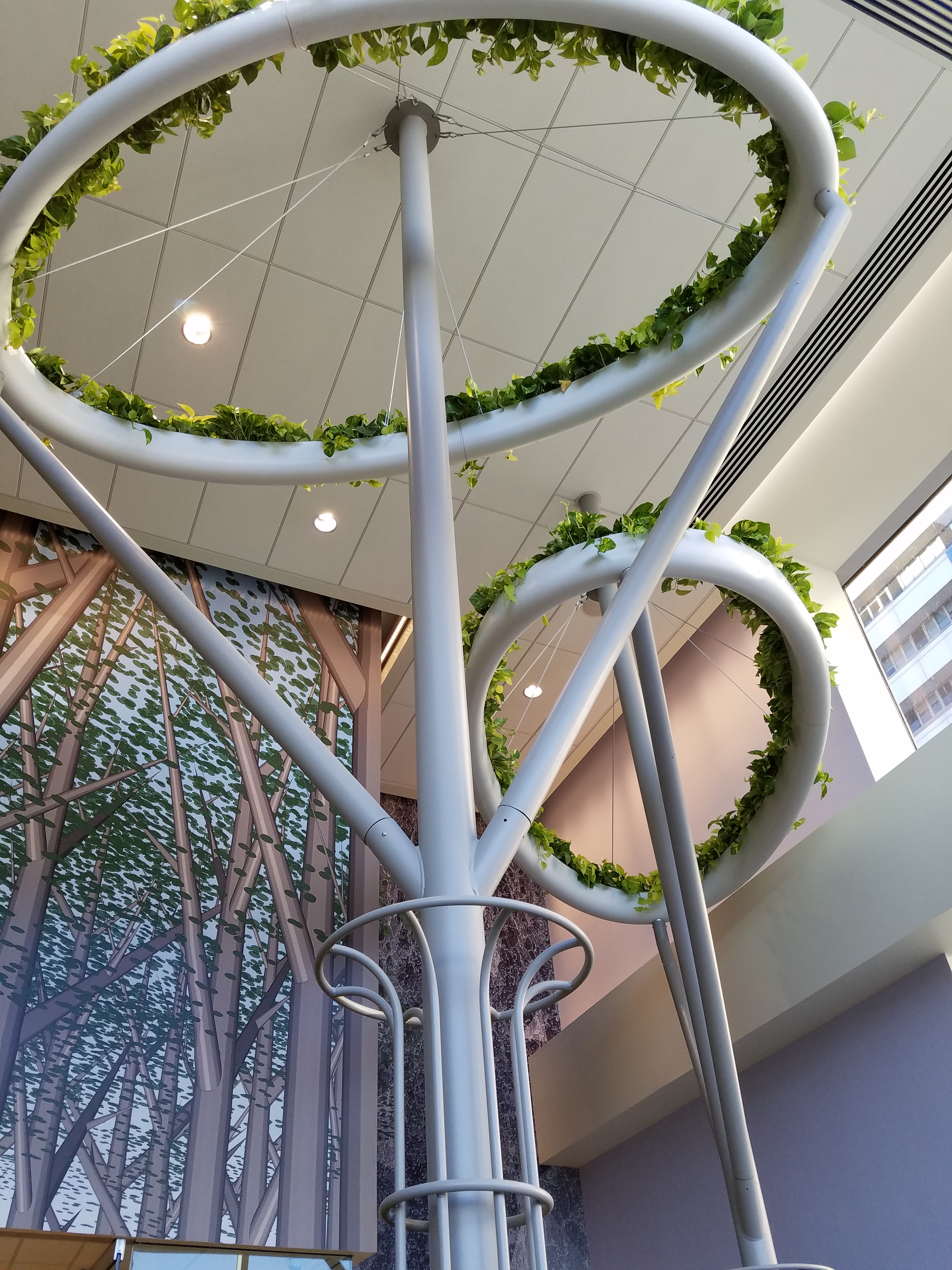 冬季花园丨design synergies architecture pc-11