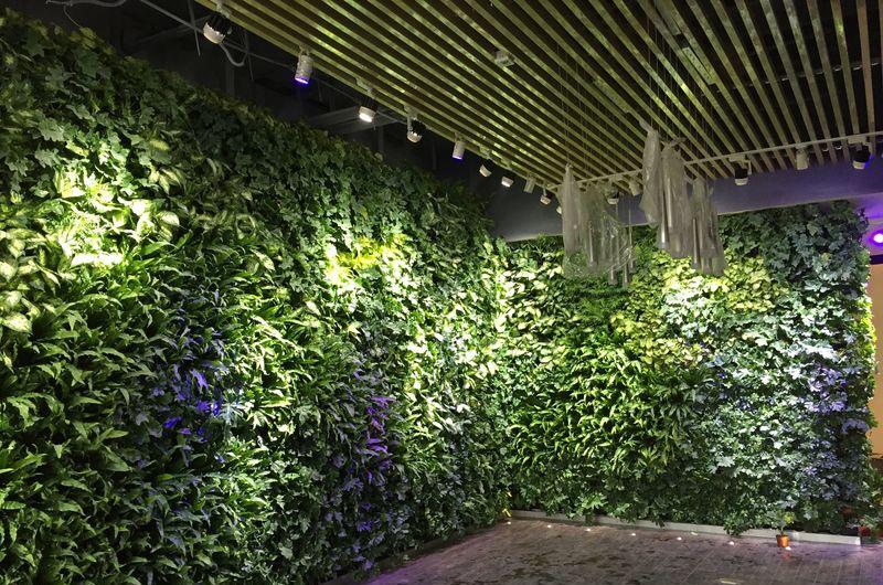 高新区国际美术城-植物墙-5