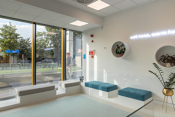 流动兽医丨罗马尼亚布加勒斯特丨Reflex Architecture-6