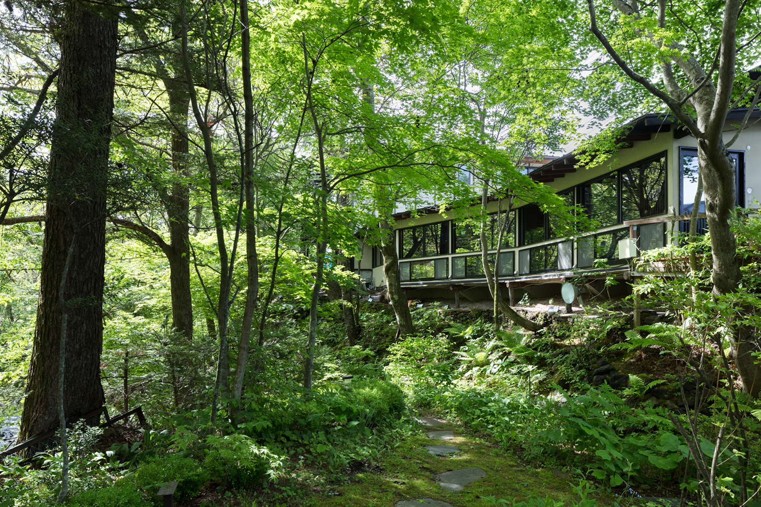 红松林中的然居丨日本丨奥野公章建筑设计事务所-72