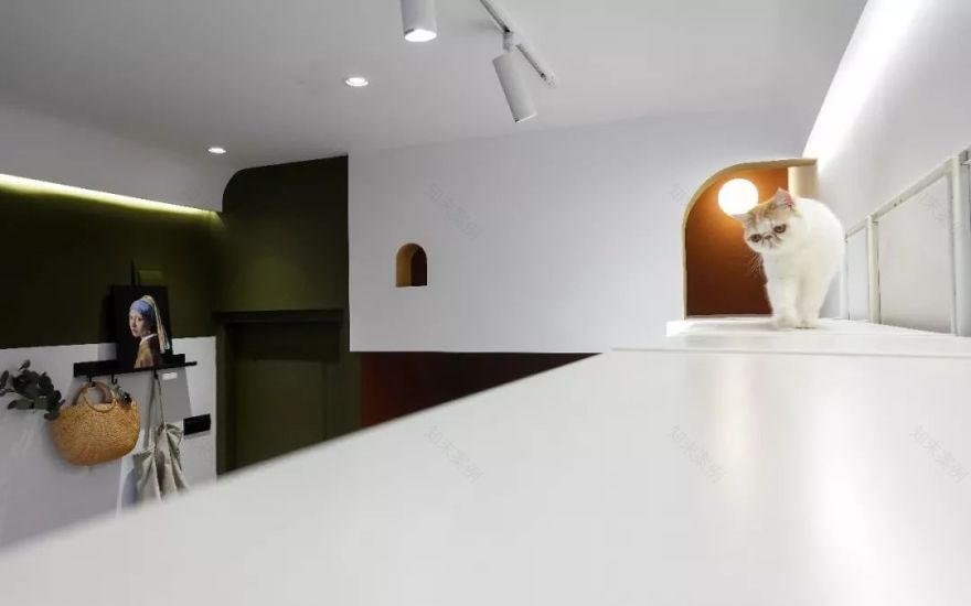 22㎡蜗居的色彩重生-57