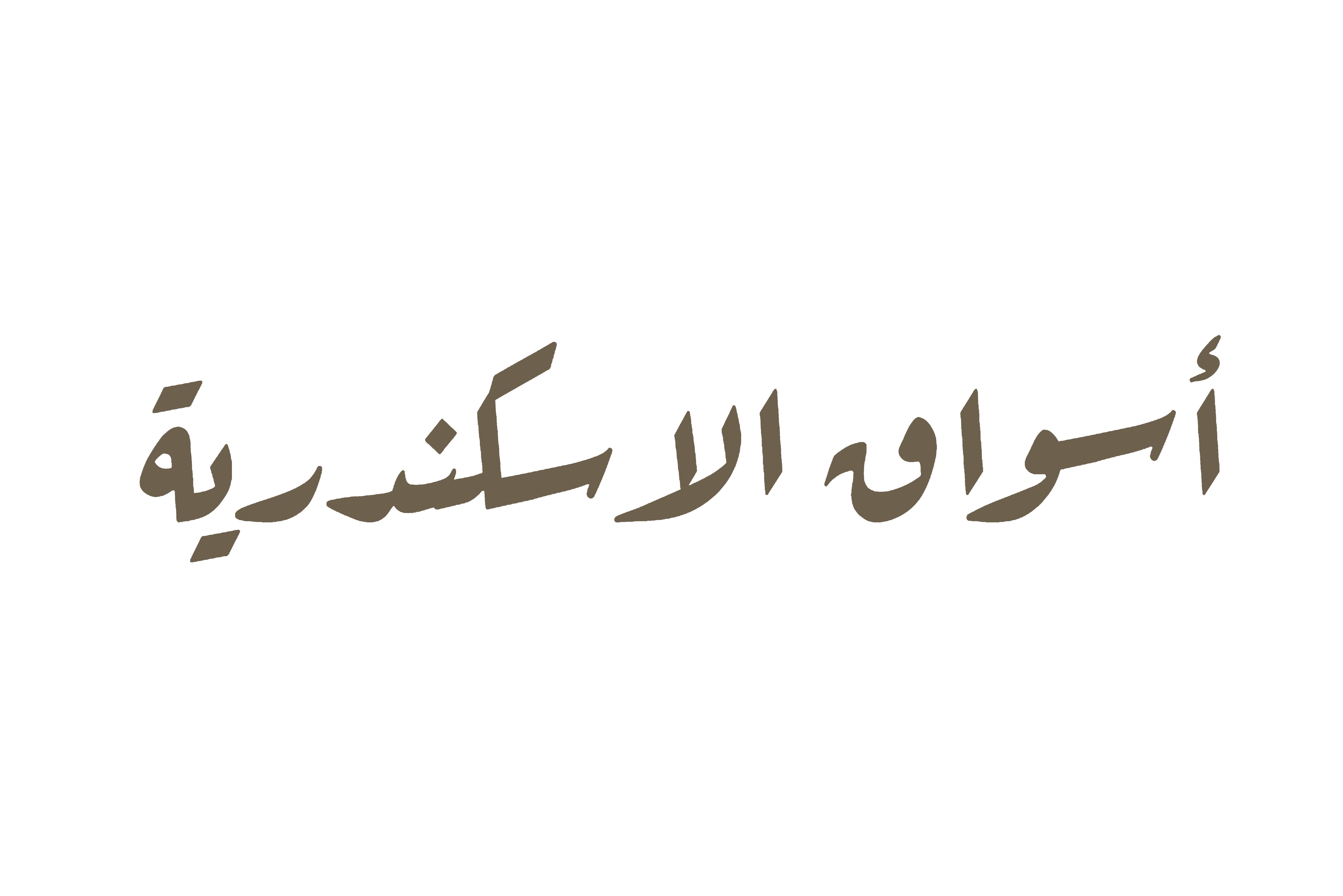 Ale·andria Souqs 设计丨埃及亚历山大丨Pharos 大学建筑系-12
