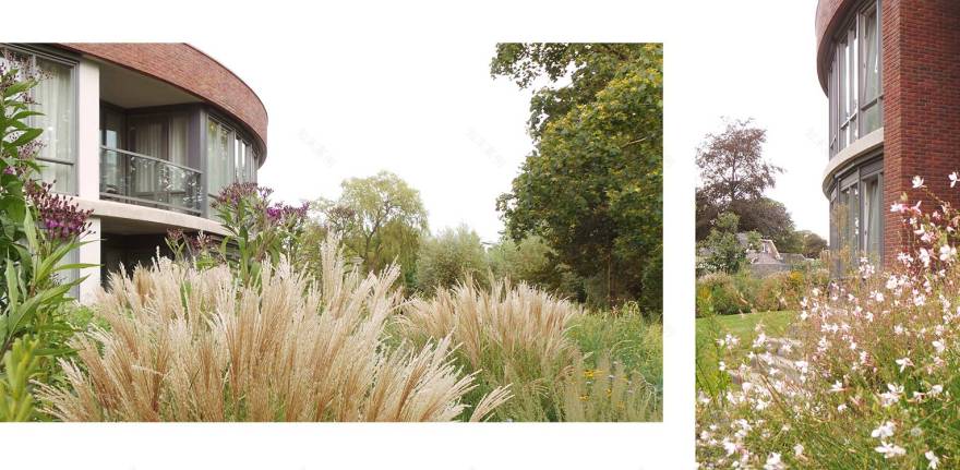 Prairie bedrijfstuin Hengelo - Denkers in Tuinen-22