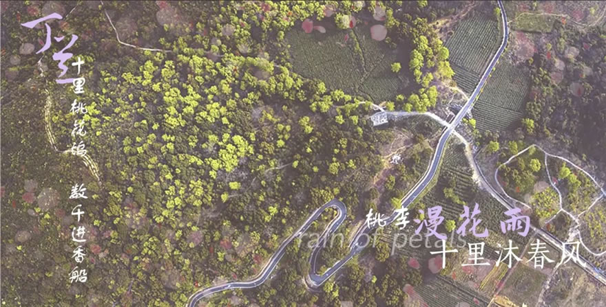 绿都•阅兰府-16