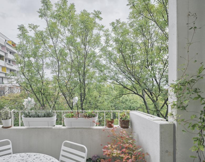 罗莎莉住房建设莱瑟大街丨奥地利-12