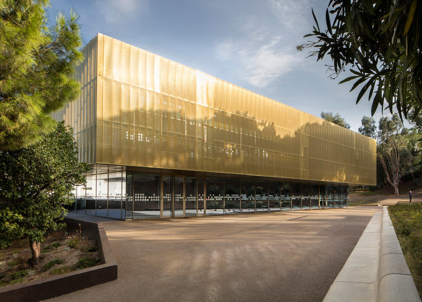 如同林间的鸡油菌 巴斯蒂亚文化中心-0