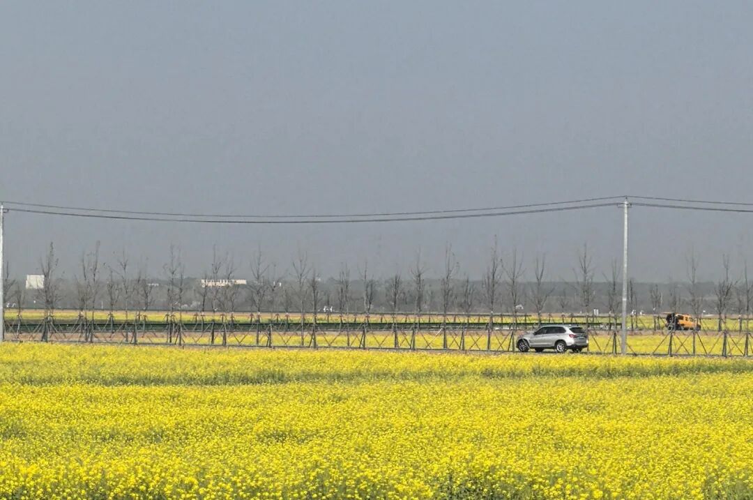 【一线写真】钢筋铁骨“酿出”温柔的春天-18