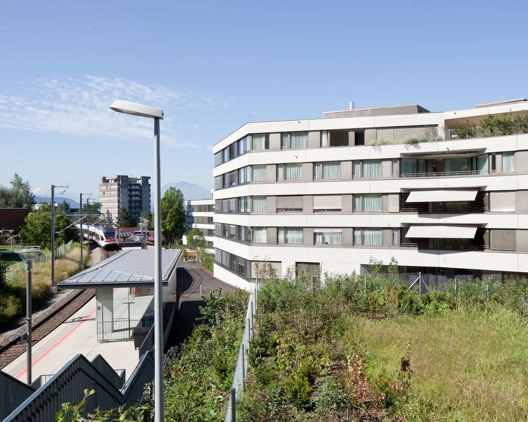 瑞士楚格 Frauensteinmatt 看护中心,和谐材质与景观融入的宜人空间-8