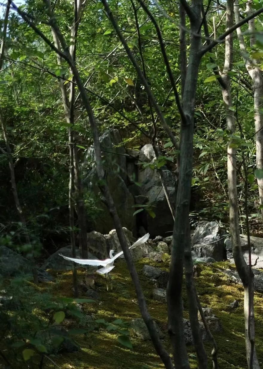 杭州自然美景工作室丨中国杭州丨余伟增,柴荣-143