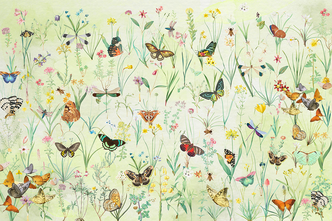 Wallpaper "Herbals and butterflies"-8