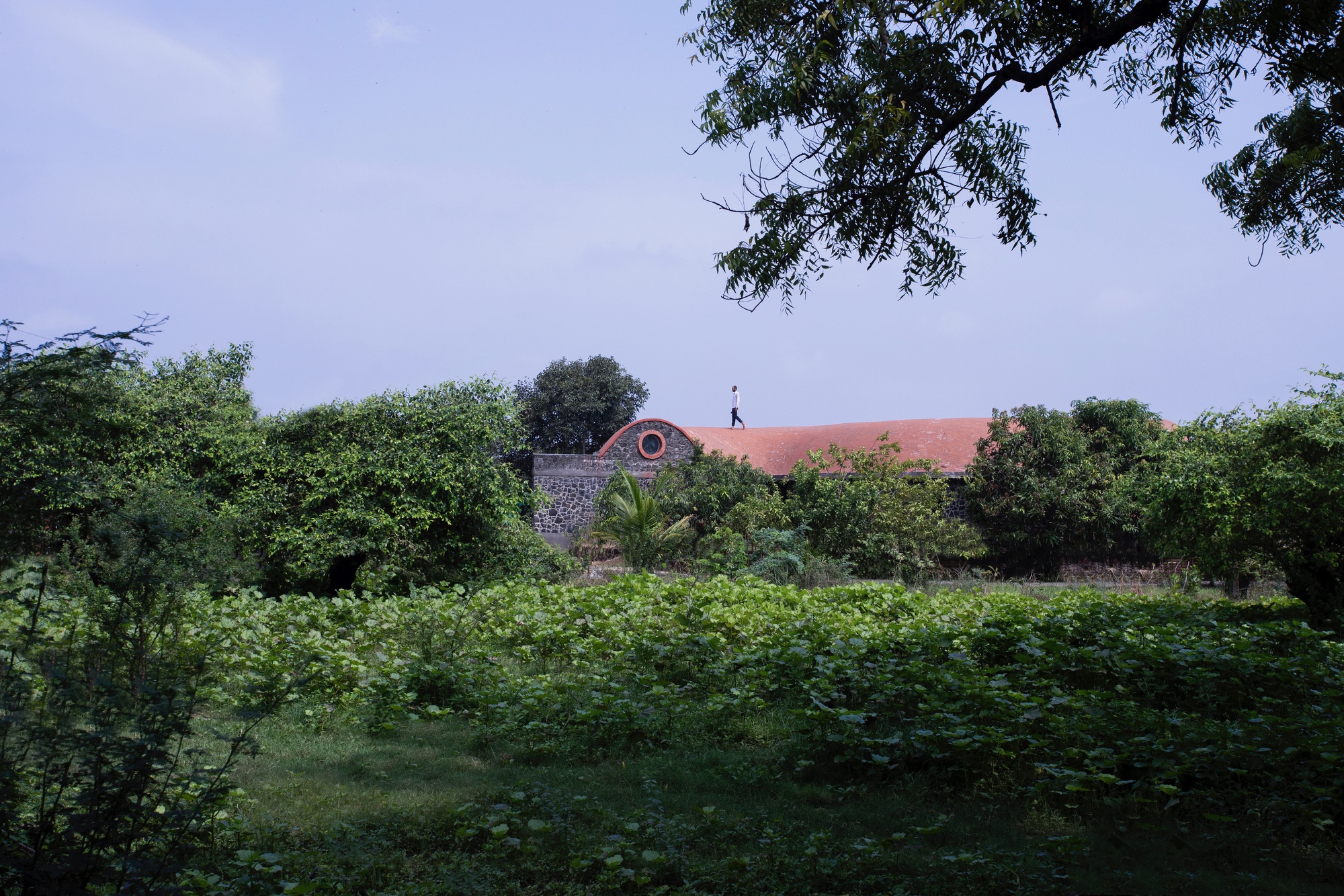 丨印度丨Studio Dot-36