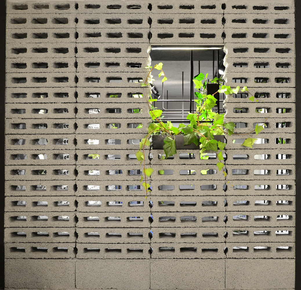 常春藤咖啡馆-39