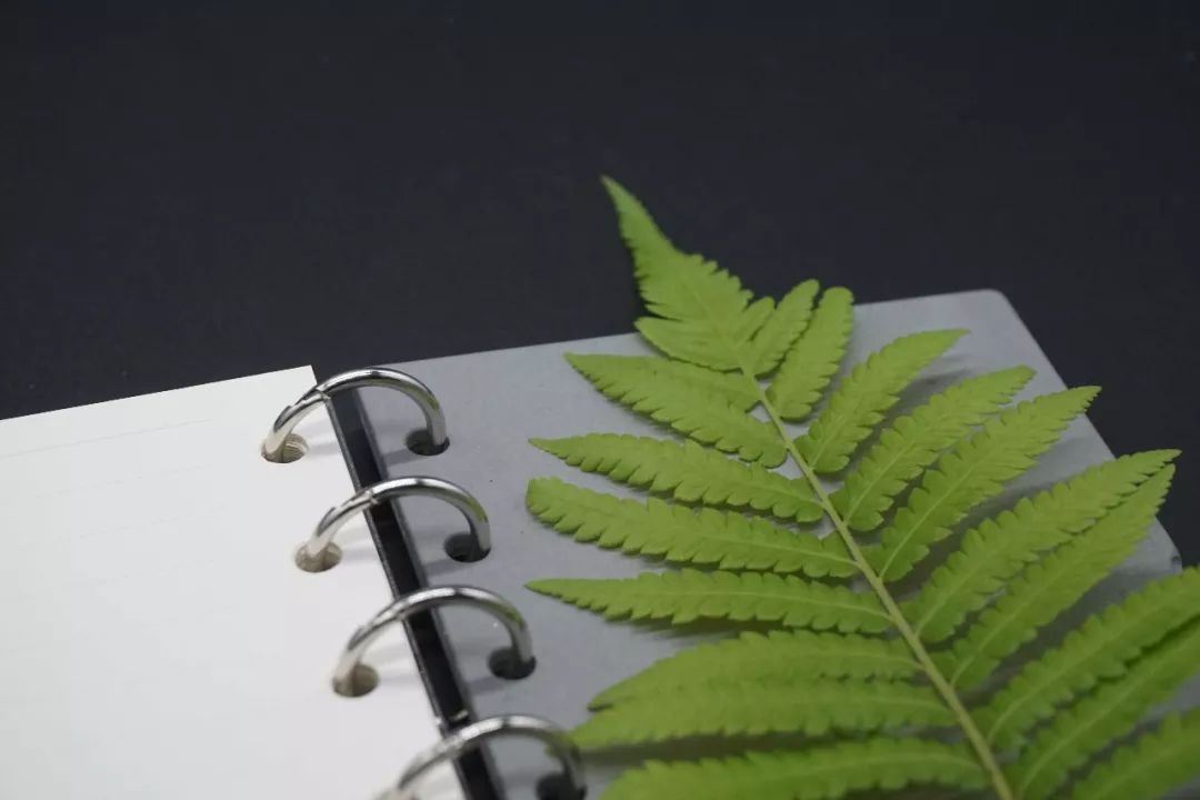 混凝土记忆 | 手写感动的载体-36