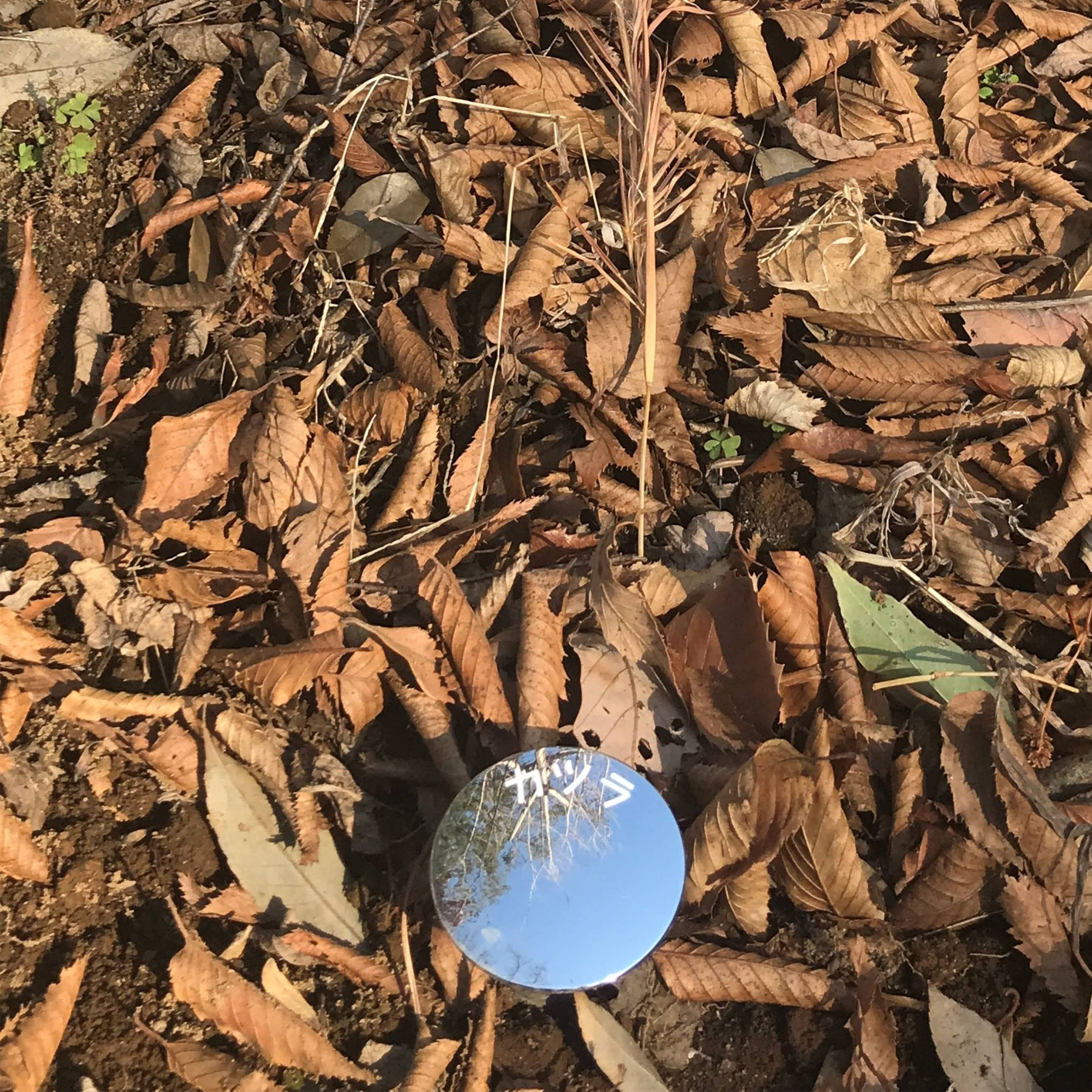 绽放的风 (Bloom no kaze)-22