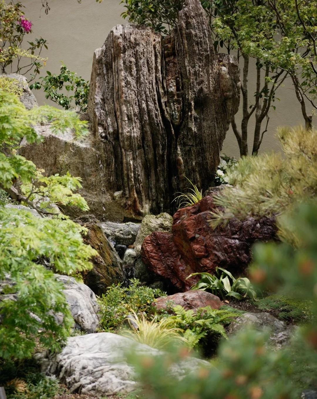 野武酒店帕洛阿尔托丨Montalba Architects-6