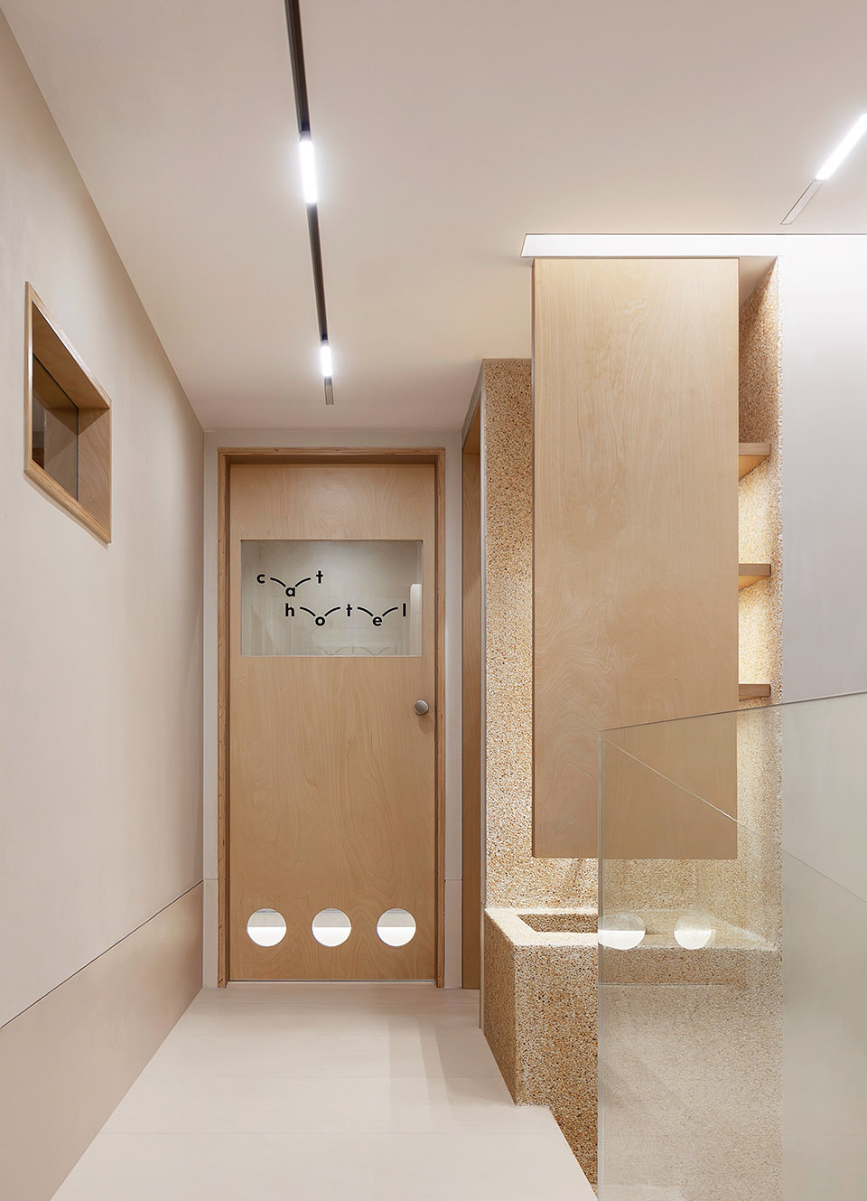 101 宠物丨中国深圳丨Informal异规设计-70