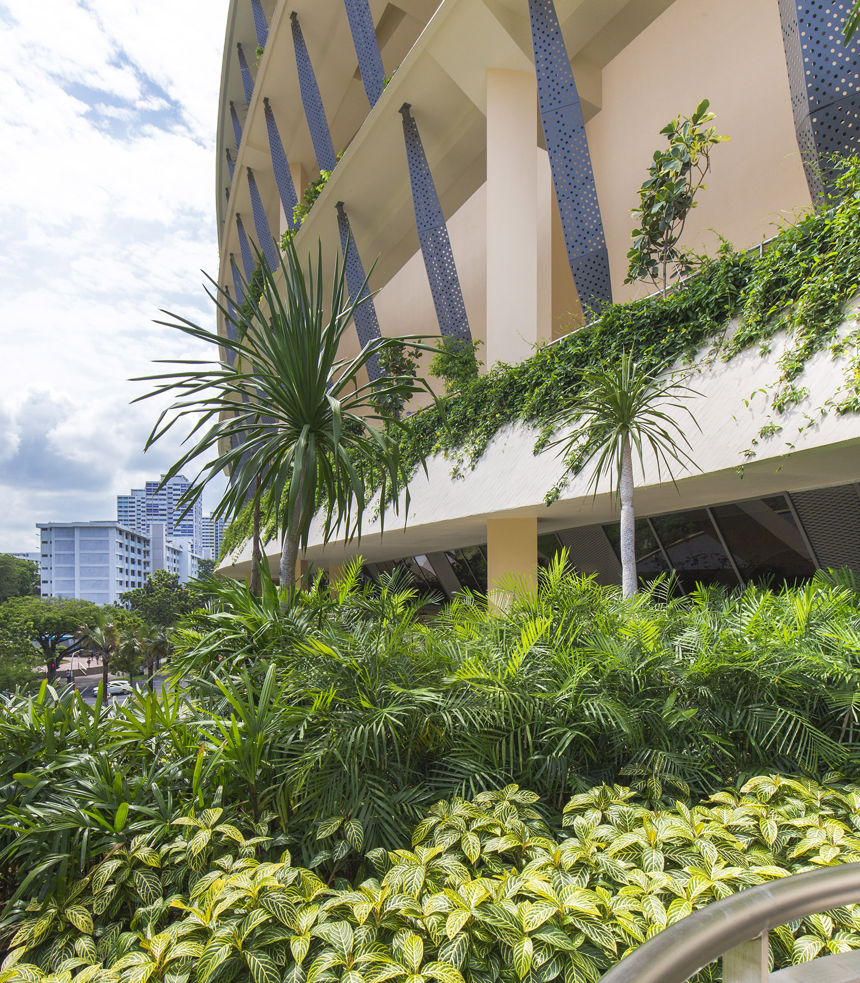 Heartbeat@Bedok大楼，新加坡 / ONG&ONG Pte Ltd-79