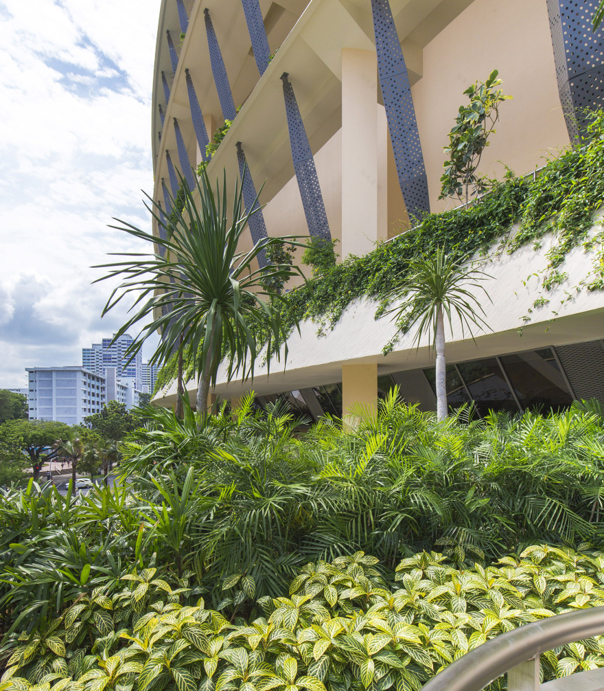 Heartbeat@Bedok大楼,新加坡 / ONG&ONG Pte Ltd-79