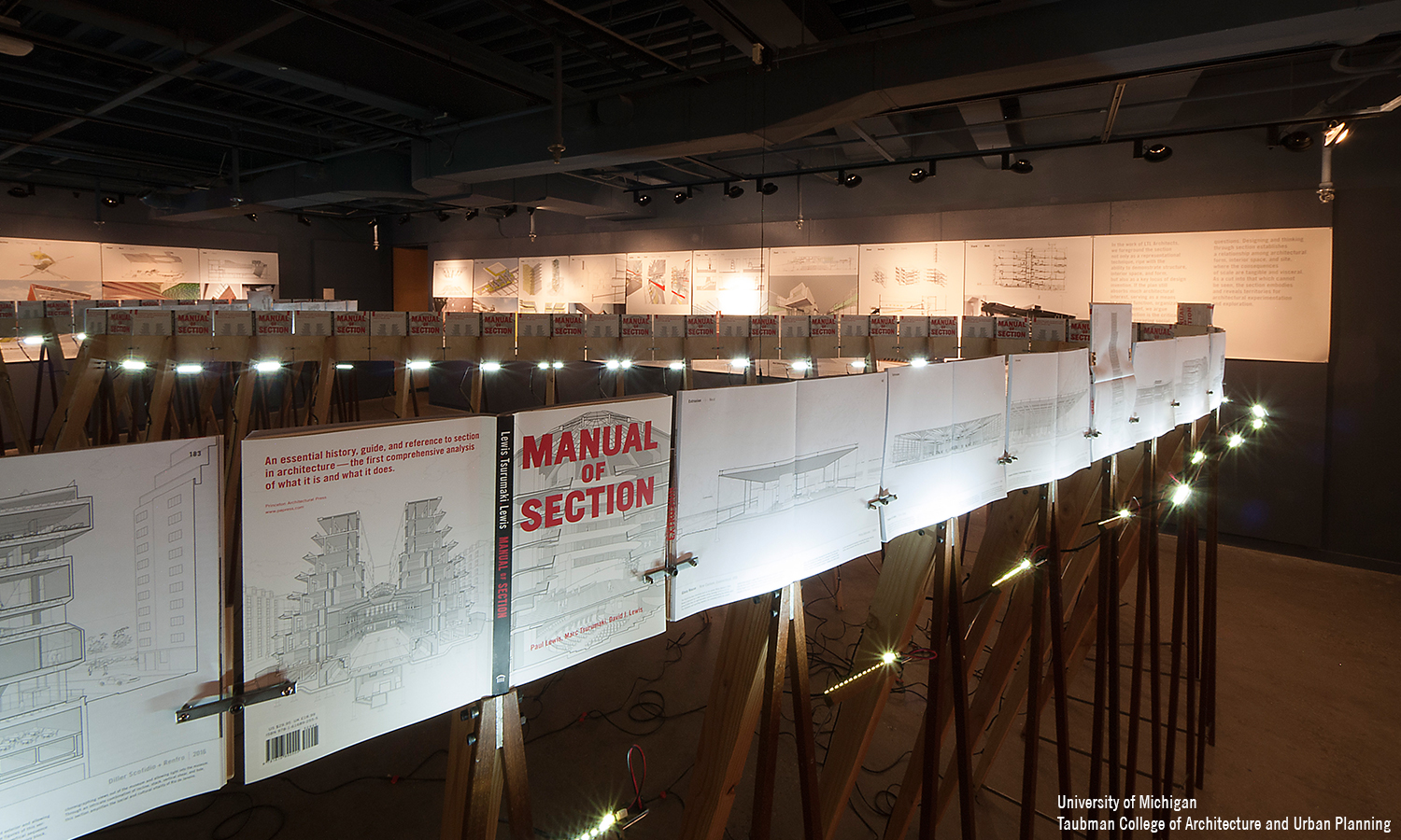 丨爱尔兰利默里克丨Lewis.Tsurumaki.Lewis-9