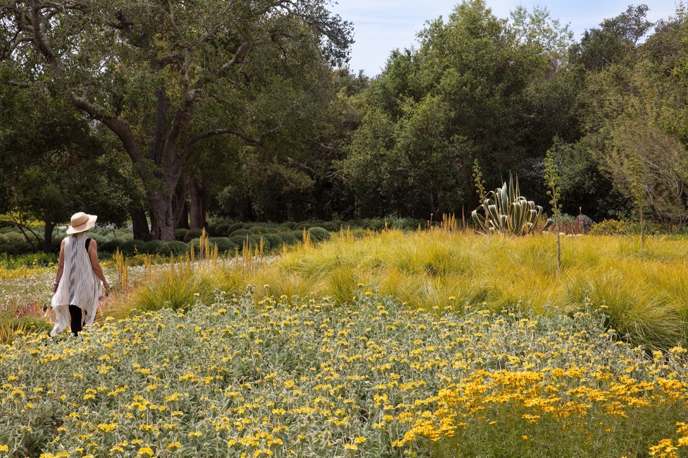 加州 Montecito 的 Mariposa Gardens丨RIOS-10