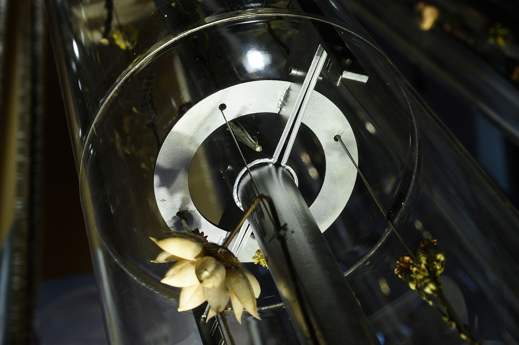 上海“时光沙漏”装置丨中国上海丨裸筑更新-28