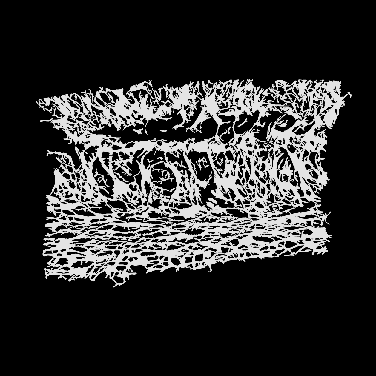 马特恩和帕滕,丝瓜络-28