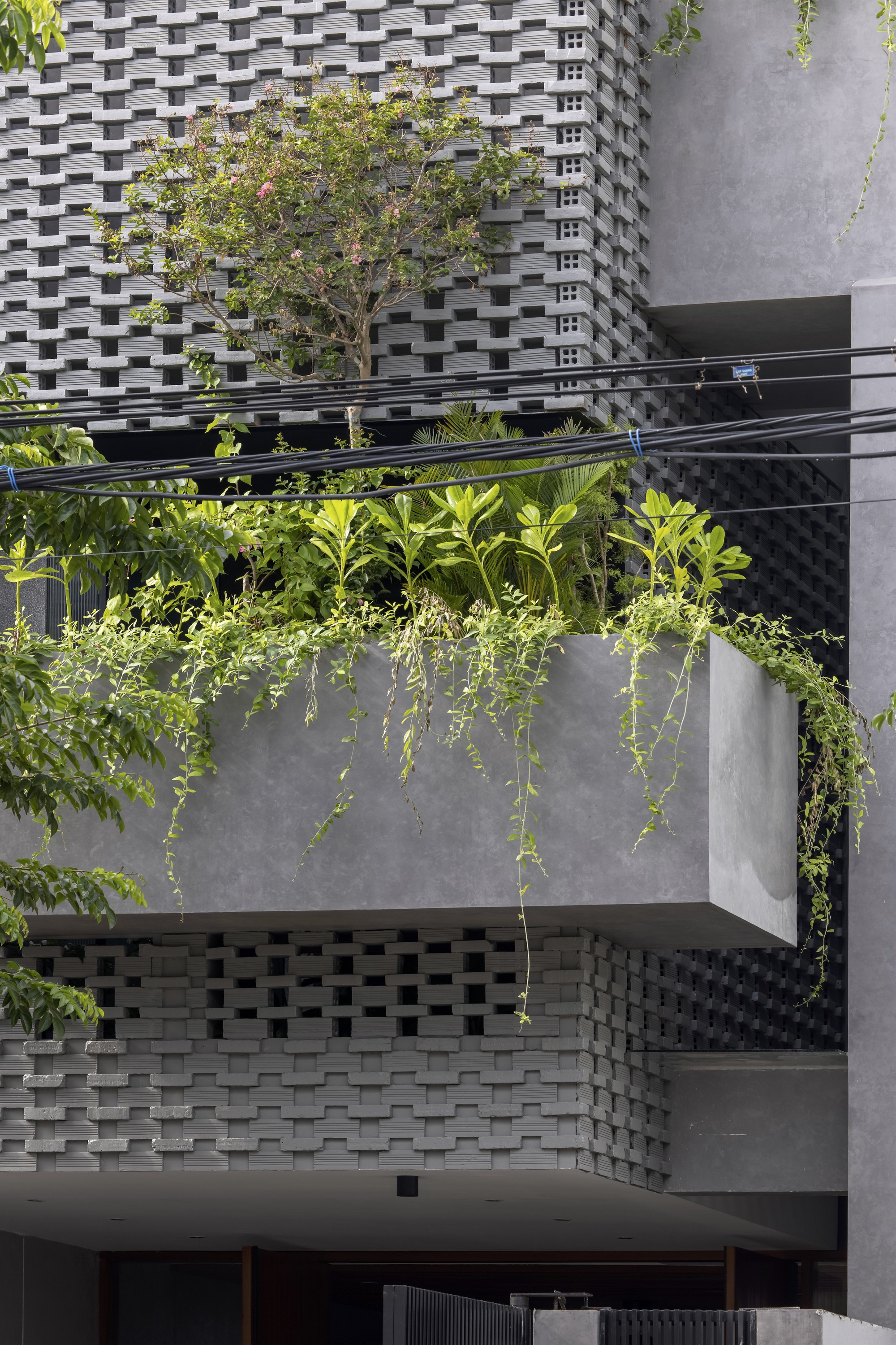 HY 之家丨越南丨TRAN TRUNG Architects-41