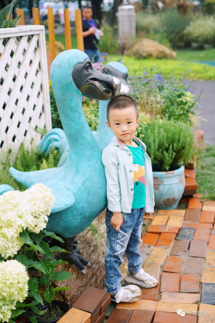 乐梵园艺打造成都花木博览会快闪花园,惊艳全场-67