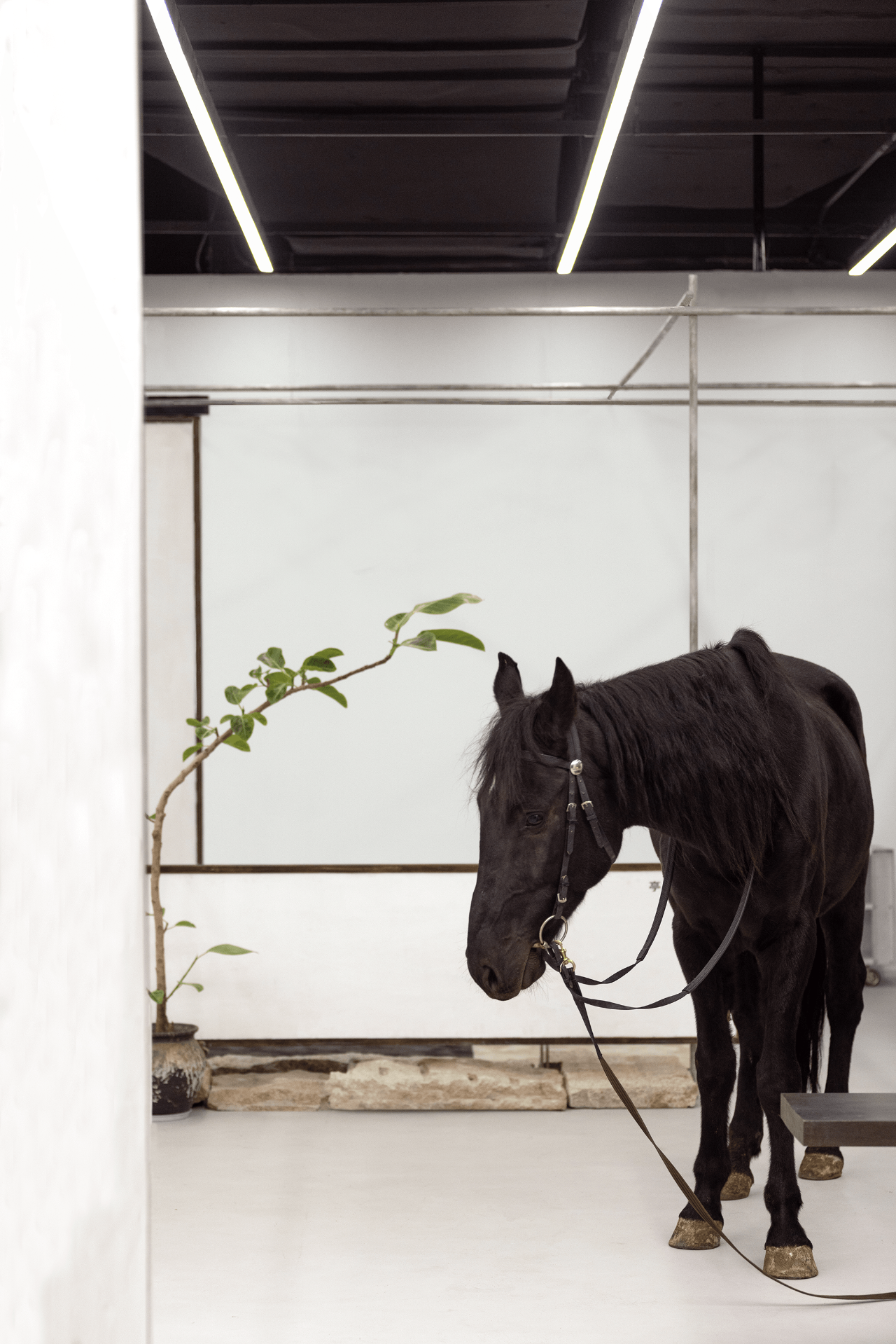 MAO BY MAO 就是造一个小世界丨中国苏州丨另奕可能 ALTERNABILITY DESIGN-91