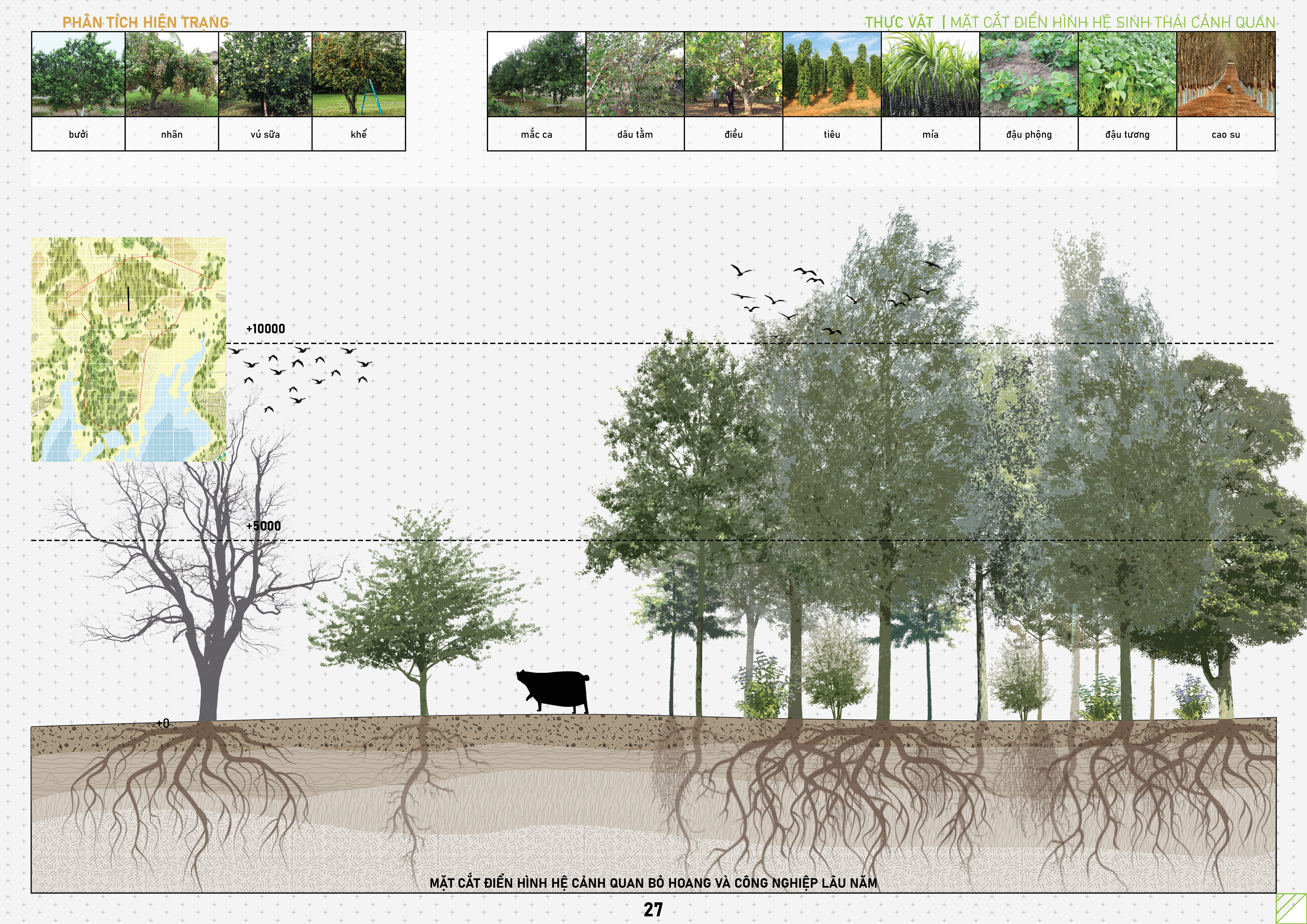 GRADUATION PROJECT - ECO -AGRICULTURAL PARK-20