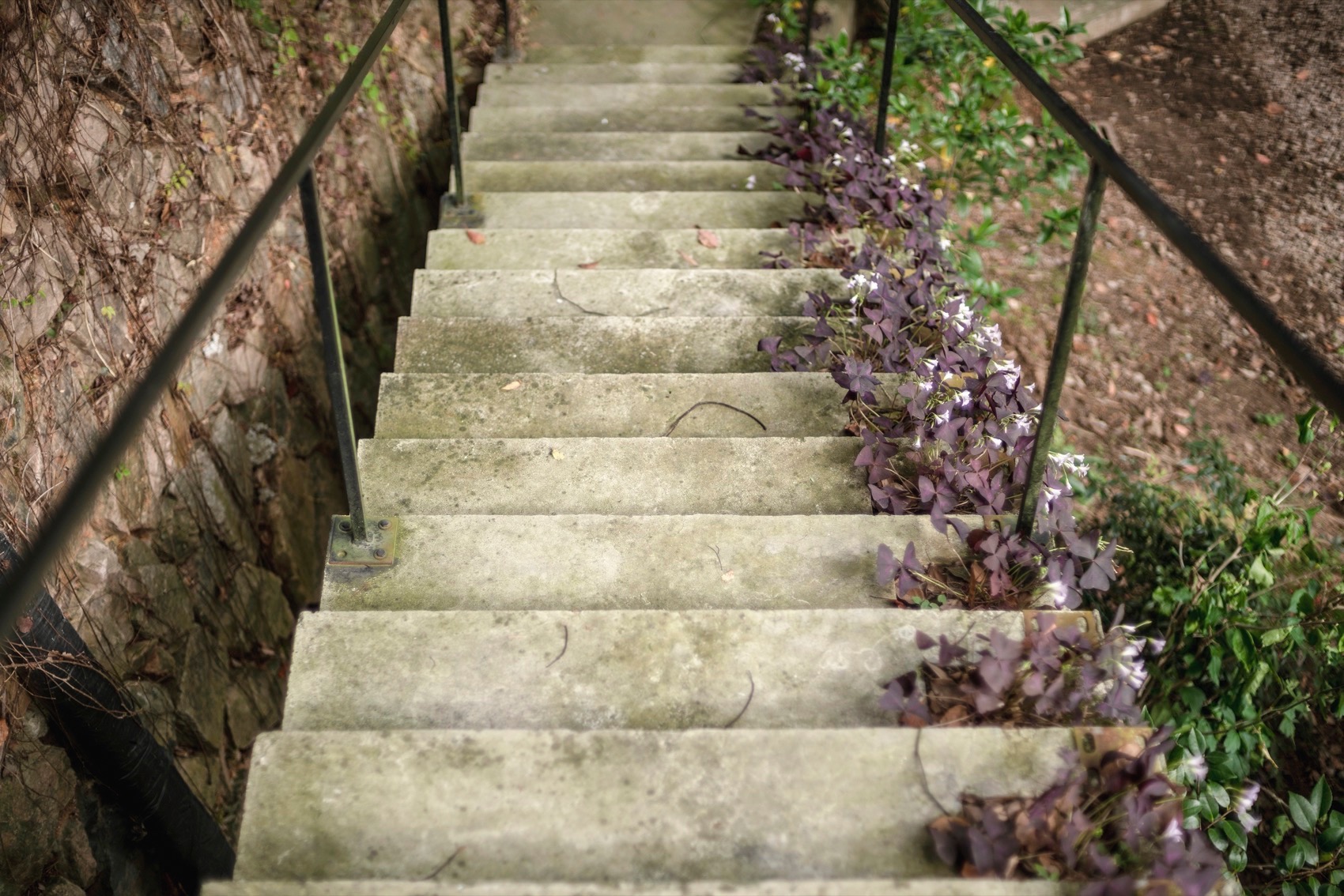 散轩书屋丨中国宁波丨上海善祥建筑设计有限公司-66