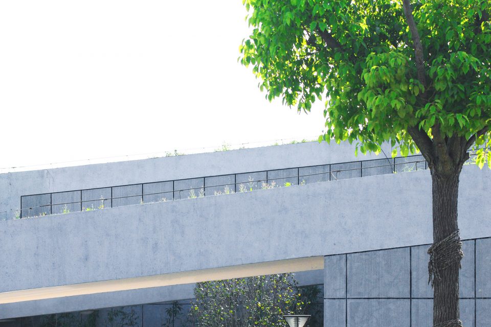 东太湖防汛仓库 | 隐于自然的绿色建筑-48