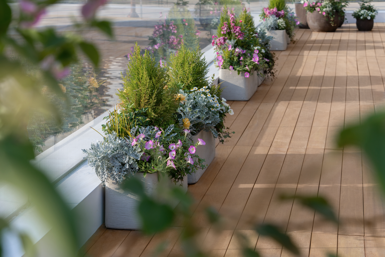 上海青浦西岑水上餐厅花园景观设计丨中国上海丨上海魏玛设计公司,华阳上海建筑公司-24