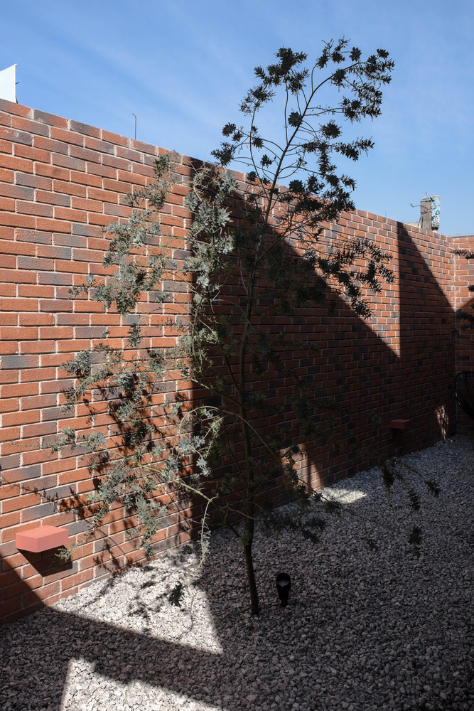 帕尔马斯之家（Palmas House）-77