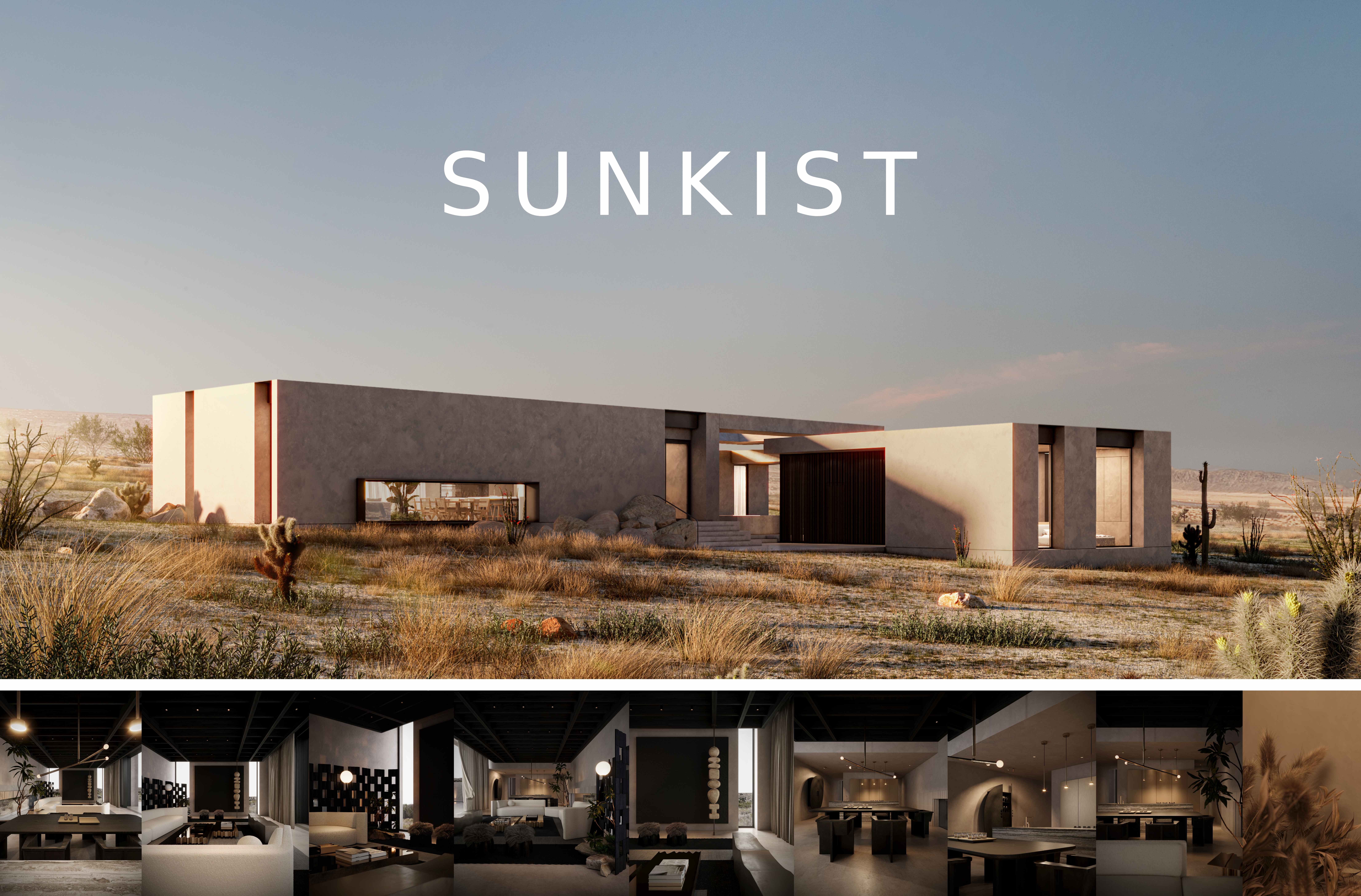 Sunkist沙漠客房丨美国加利福尼亚-0